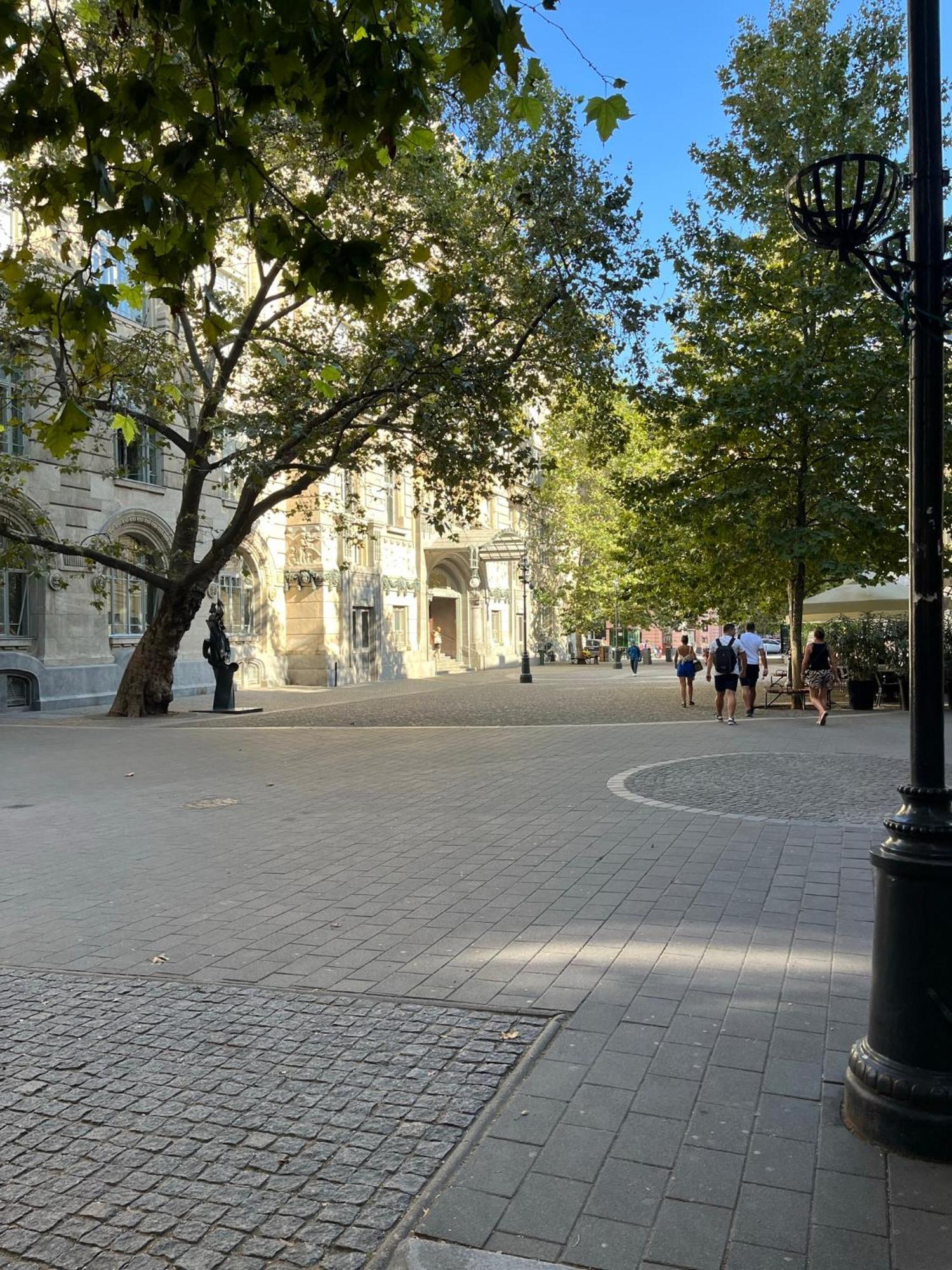 Elena Suite Budapeşte Dış mekan fotoğraf
